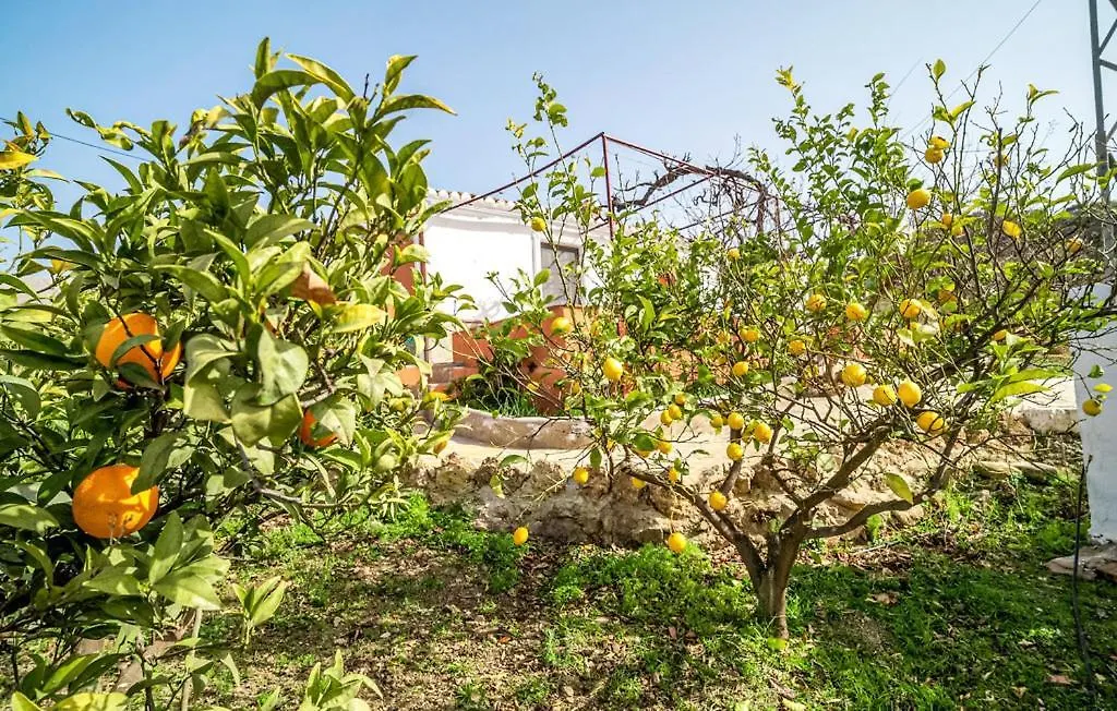 Вилла Casa Rural Antonio Y Esperanza Периана Испания