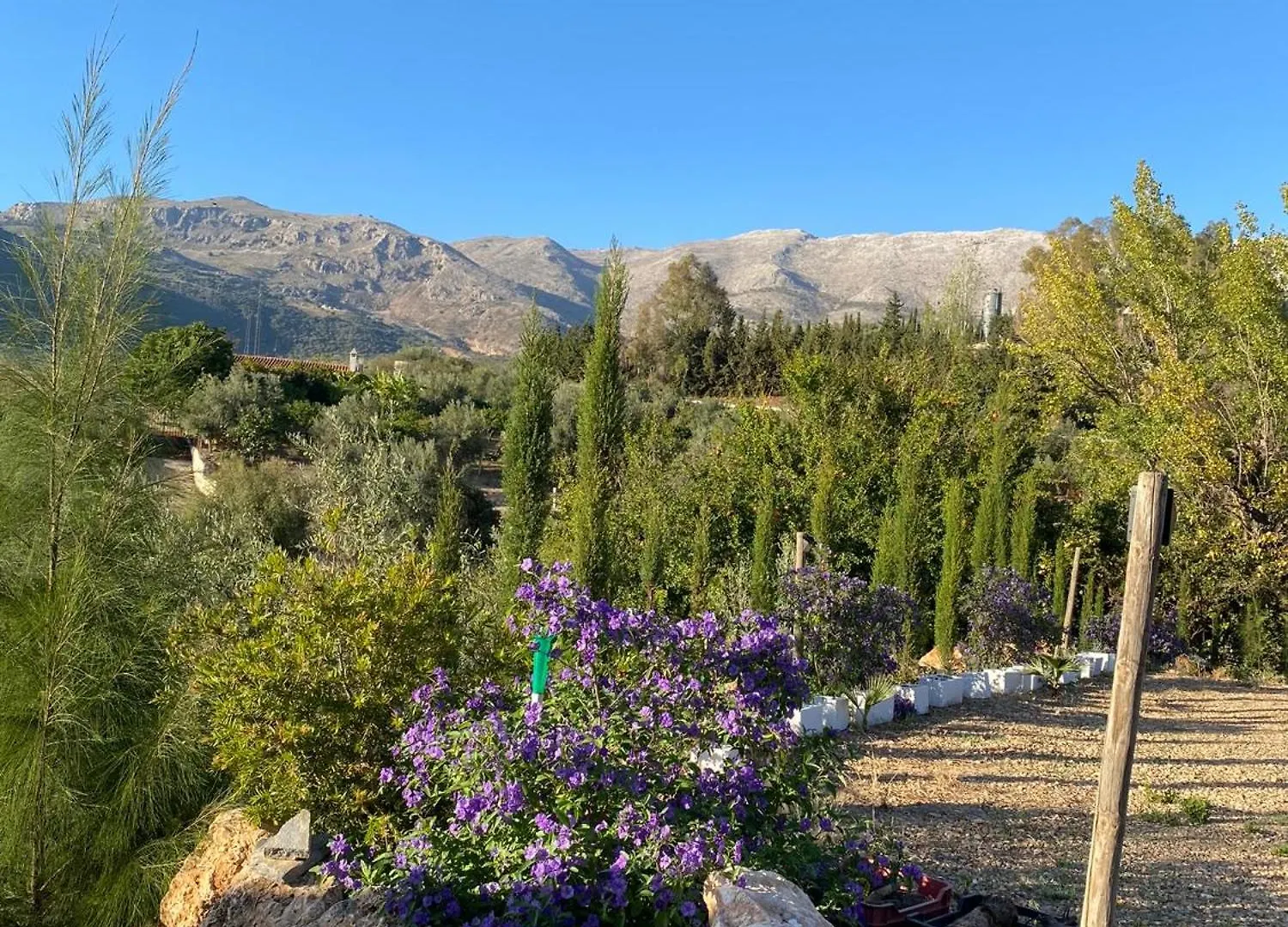Вилла Casa Rural Antonio Y Esperanza Периана